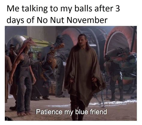 no nut november memes 2023|no nut november jokes.